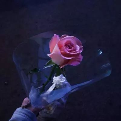 乐发彩票APP。截图